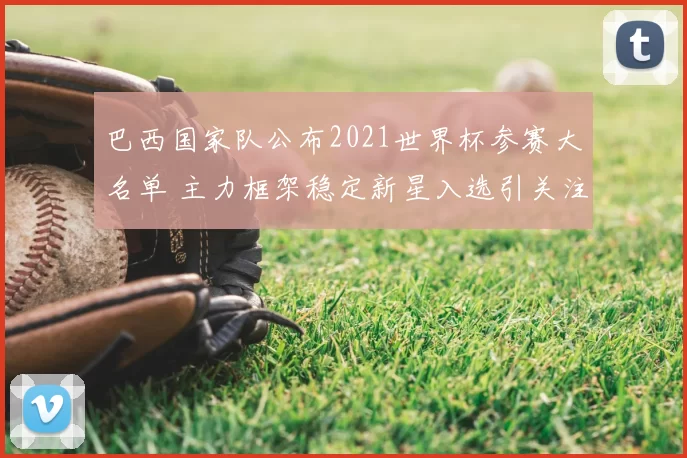 巴西国家队公布2021世界杯参赛大名单 主力框架稳定新星入选引关注