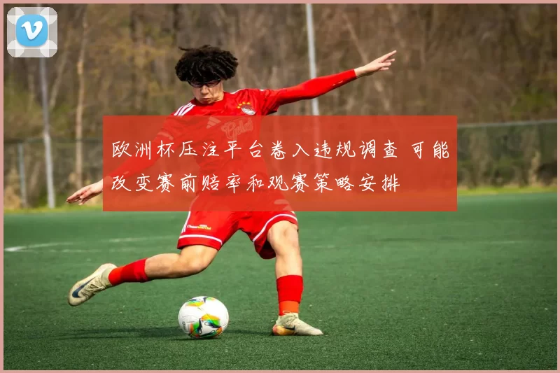欧洲杯压注平台卷入违规调查 可能改变赛前赔率和观赛策略安排